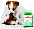 ROYAL CANIN  