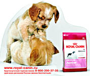 ROYAL CANIN  