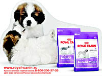 ROYAL CANIN  