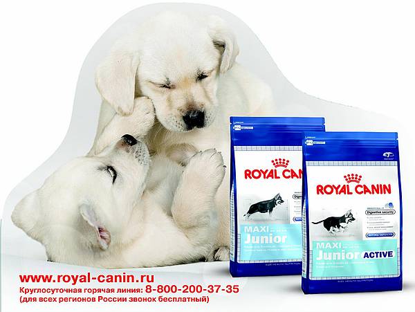 Royal Canin    