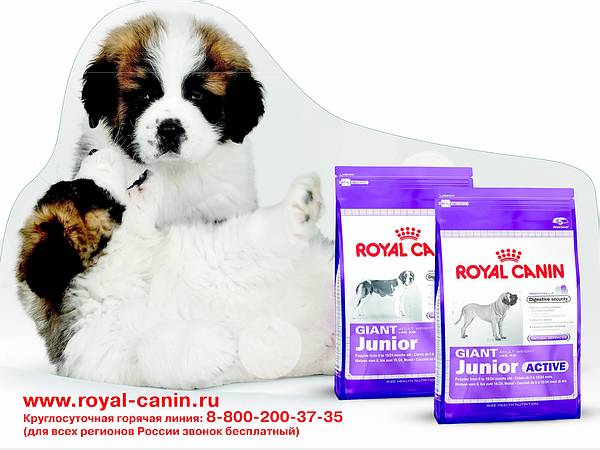 Royal Canin    